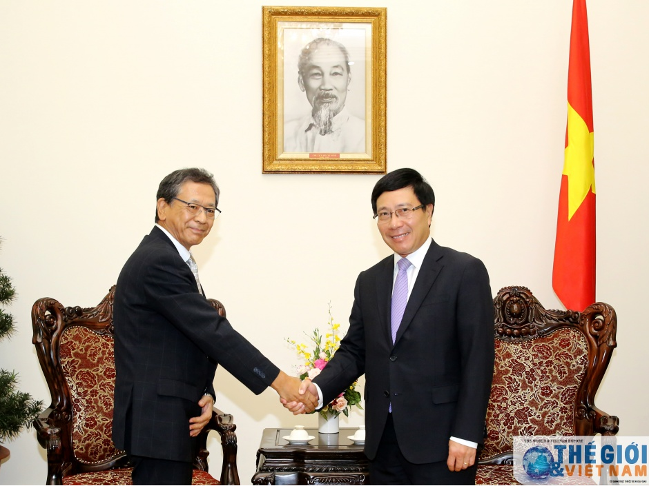 Phó Thủ tướng Phạm Bình Minh tiếp Đại sứ Nhật Bản Hiroshi Fukada chào từ biệt