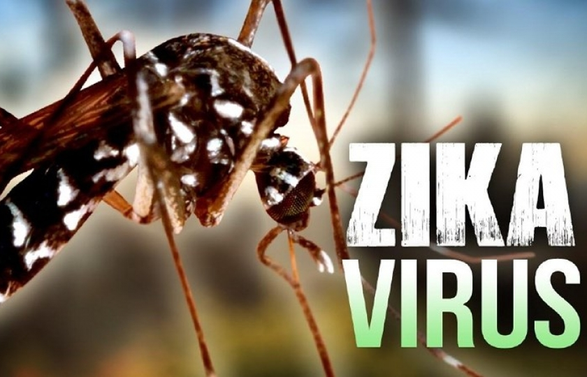 Dịch Zika lây lan tại Ấn Độ