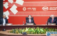 viet nam du tuan le cap cao apec peru voi mot vi the dac biet