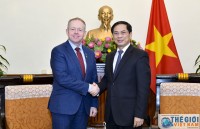 viet nam ireland tham van chinh tri cap vu truong bo ngoai giao