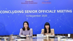 Hội nghị tổng kết các Quan chức cao cấp (CSOM) APEC 2020