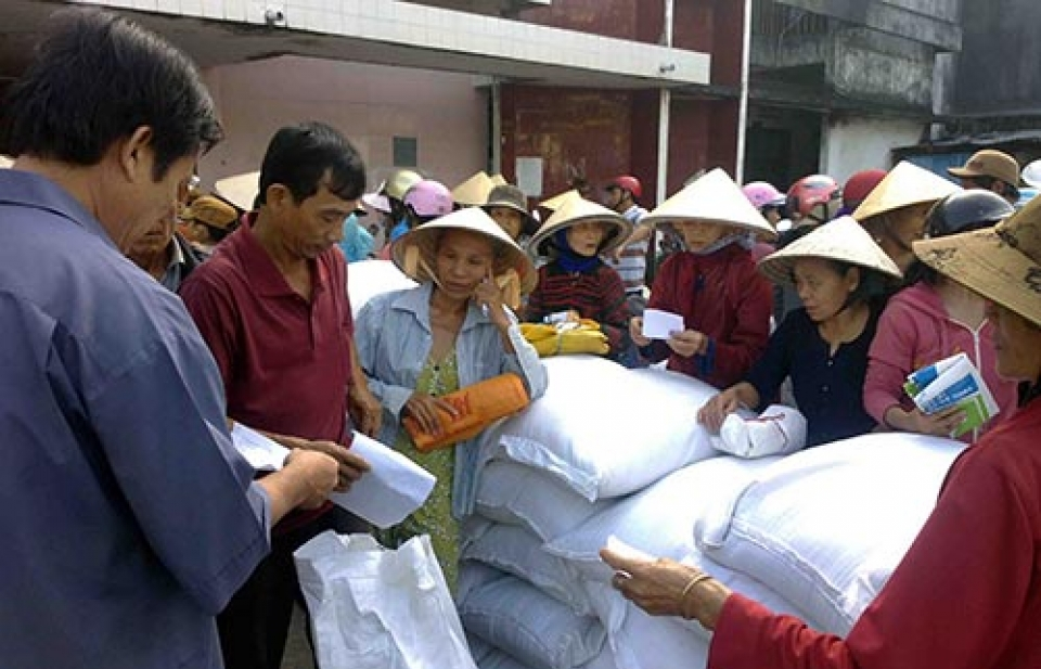 Chính phủ quyết định hỗ trợ gạo cho tỉnh Khánh Hòa