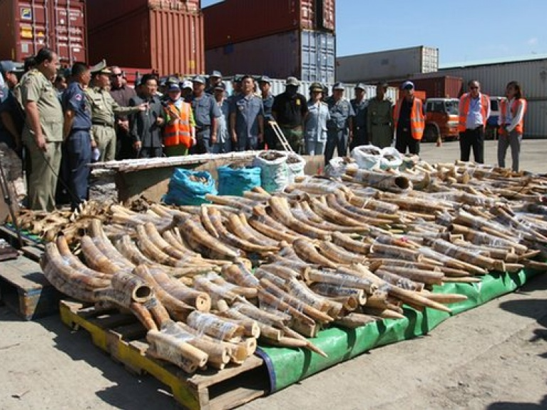 Trung Quốc sẽ cấm hoàn toàn việc buôn bán ngà voi vào cuối năm 2017