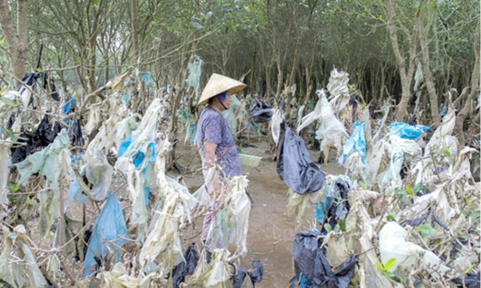 Môi trường sống ở Đông Nam Á có nguy cơ xuống cấp vì rác thải