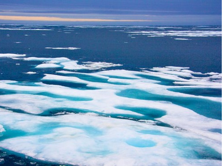 Canada phát hiện âm thanh lạ ở Bắc Cực