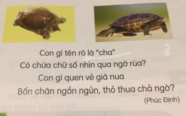 Bộ GD&ĐT lên tiếng về sự cố trong SGK Tiếng Việt lớp 1 ‘Kết nối tri thức’