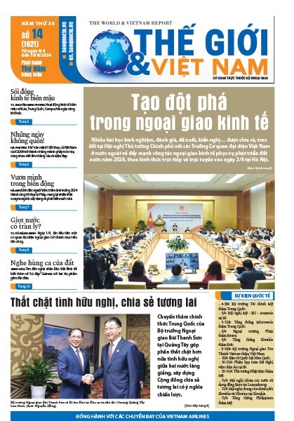 Số 14-2024