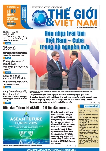 Số 8-2025