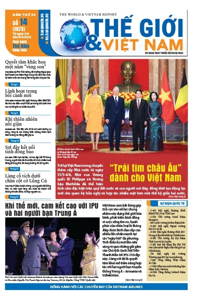 Số 14-2025