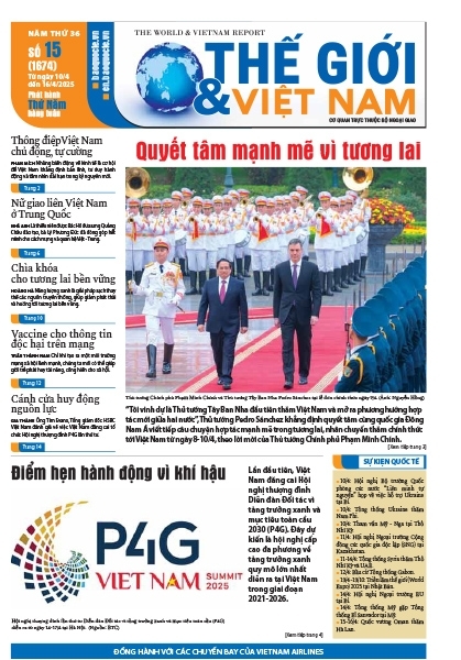 Số 15-2025