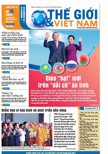Số 19-2025