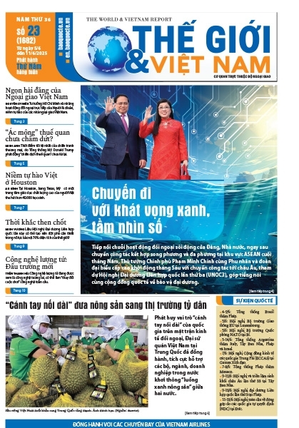 Số 23-2025