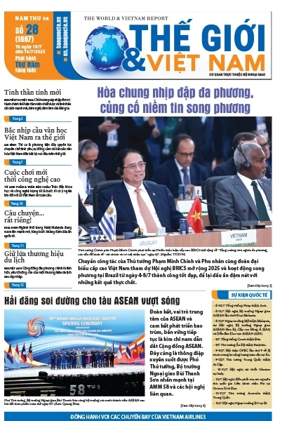 Số 28-2025