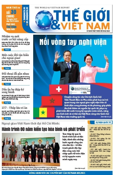 Số 30-2025