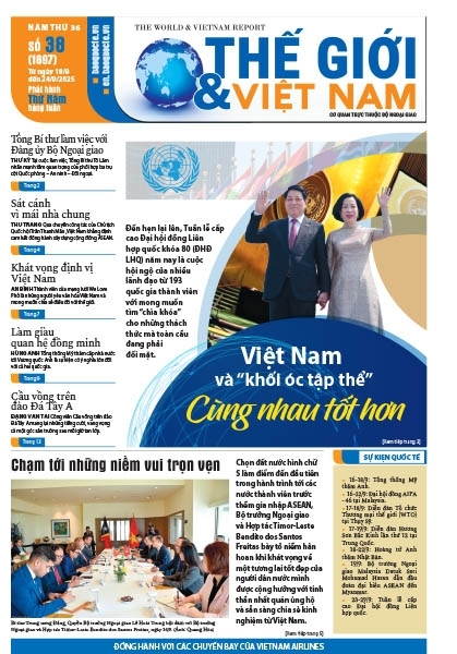 Số 38-2025