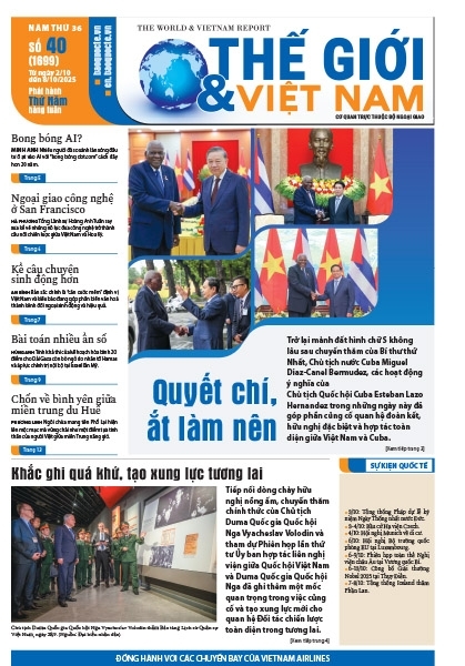 Số 40-2025