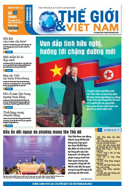 Số 41-2025