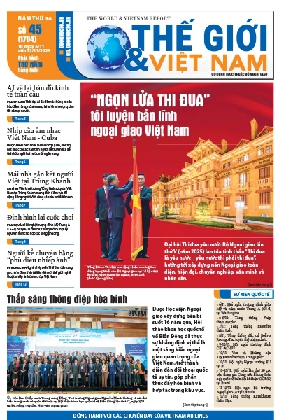 Số 45-2025