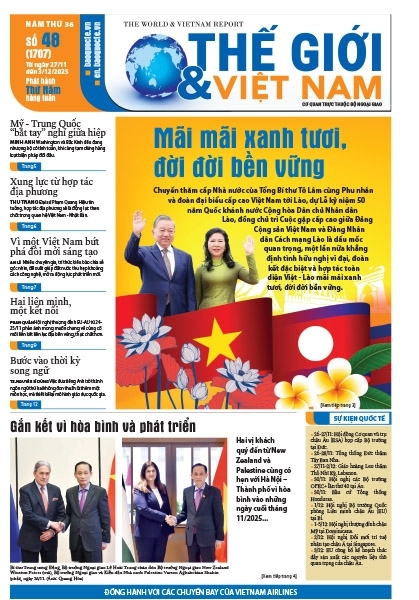 Số 48-2025
