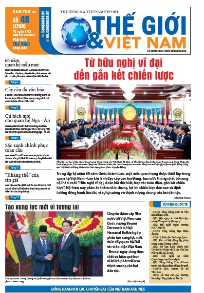 số 49-2025