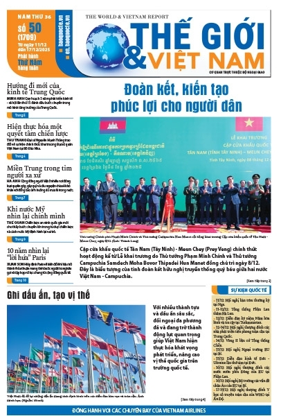 Số 50-2025