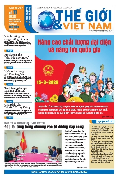 Số 11-2026
