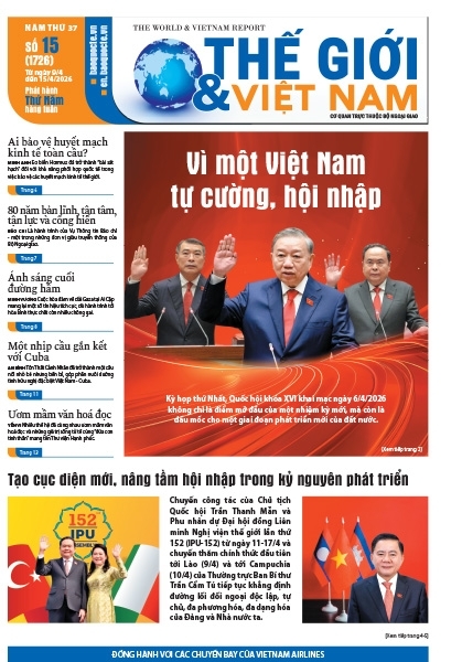 Số 15-2026