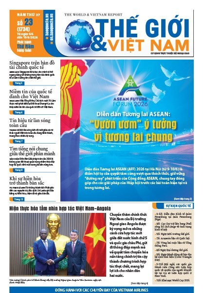 Số 23-2026
