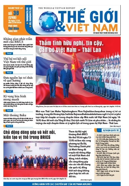 Số 38-2026