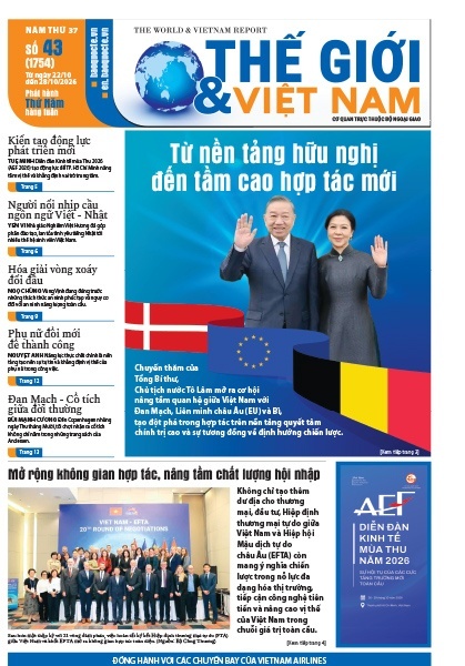 Số 43-2026