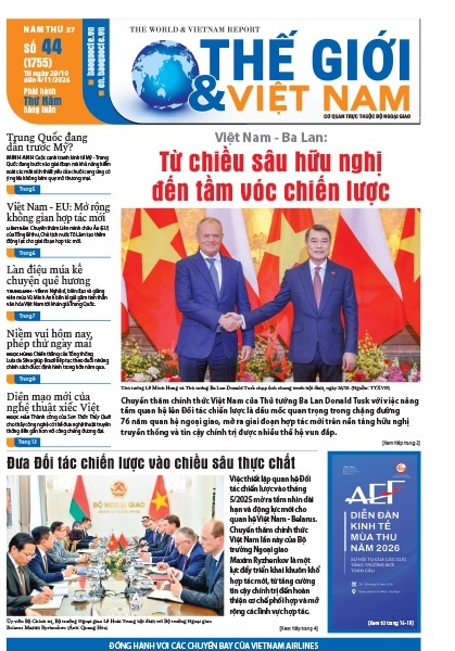 Số 44-2026