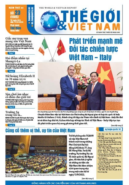 Số 23-2022