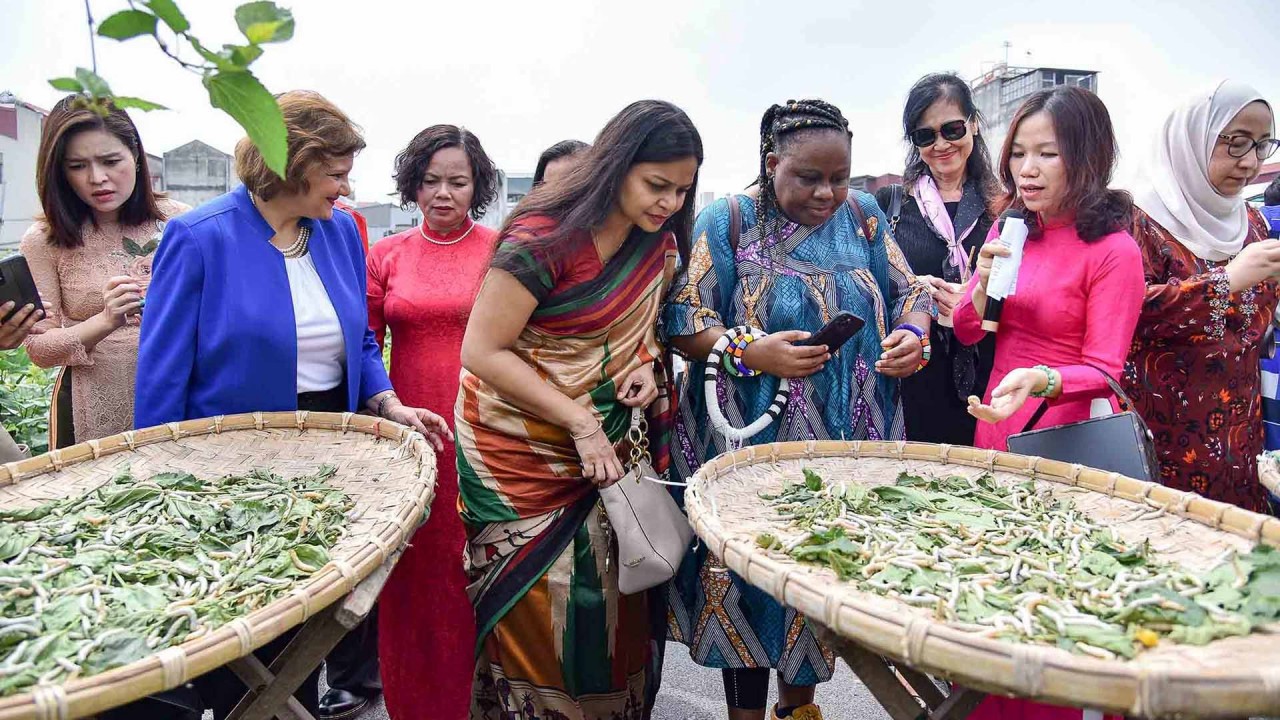 Các nhà ngoại giao nữ nước ngoài tại Việt Nam trải nghiệm dệt tơ tằm