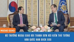 Bộ trưởng Ngoại giao Bùi Thanh Sơn hội kiến Thủ tướng Hàn Quốc Han Duck Soo