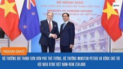 Bộ trưởng Bùi Thanh Sơn đón Phó Thủ tướng, Bộ trưởng Winston Peters và đồng chủ trì Hội nghị BTNG Việt Nam-New Zealand
