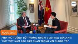 Phó Thủ tướng, Bộ trưởng Ngoại giao New Zealand: 'Một Việt Nam đặc biệt quan trọng với chúng tôi'