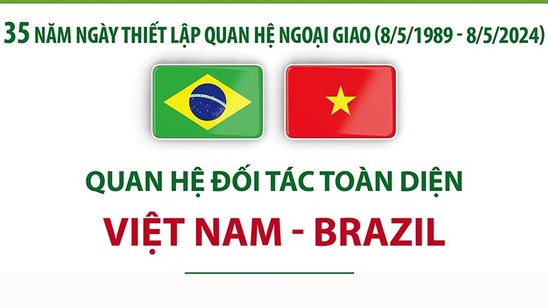 Việt Nam - Brazil: Cùng bước tới tương lai