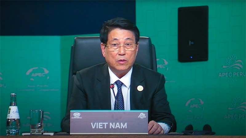 Chủ tịch nước Lương Cường phát biểu tại Phiên toàn thể Hội nghị cấp cao APEC 2024 ngày 17/11