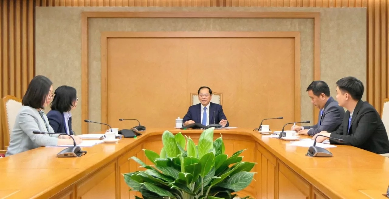 Phó Thủ tướng, Bộ trưởng Ngoại giao Bùi Thanh Sơn điện đàm với Bộ trưởng Ngoại giao Thổ Nhĩ Kỳ