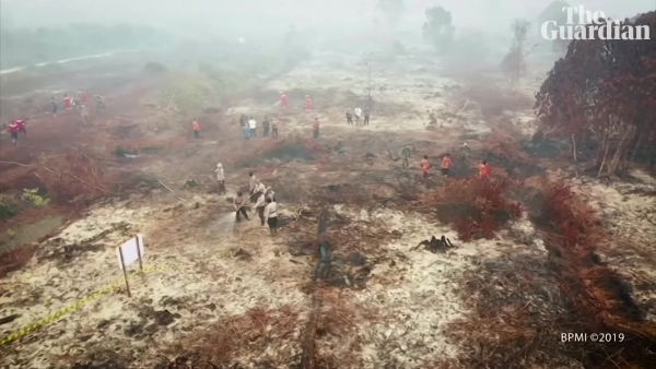 cháy rừng tại Indonesia