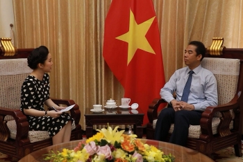 Thứ trưởng Ngoại giao Tô Anh Dũng trả lời về việc đưa công dân Việt Nam từ các vùng dịch Covid-19 về nước
